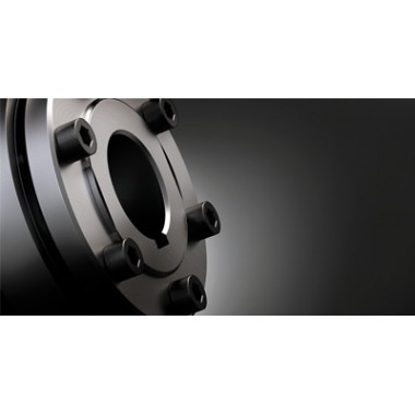 Муфта CLAMPEX  KTR 620-16-41