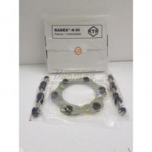 000000001300218721 Прокладка стальная RADEX-N 50 ST